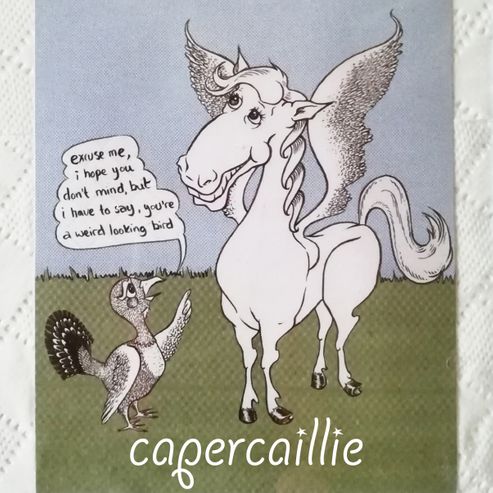 Capercaille
