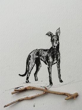 Day 78 - dog with a stick 02