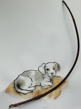 Day 75 - dog with a stick 05